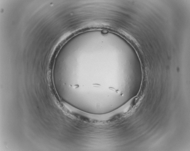 X0000070881029200607071942