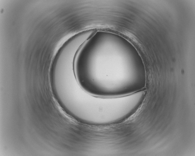 X0000070881030200607071942