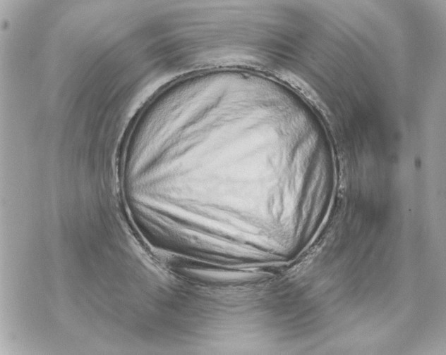 X0000070881031200607071942