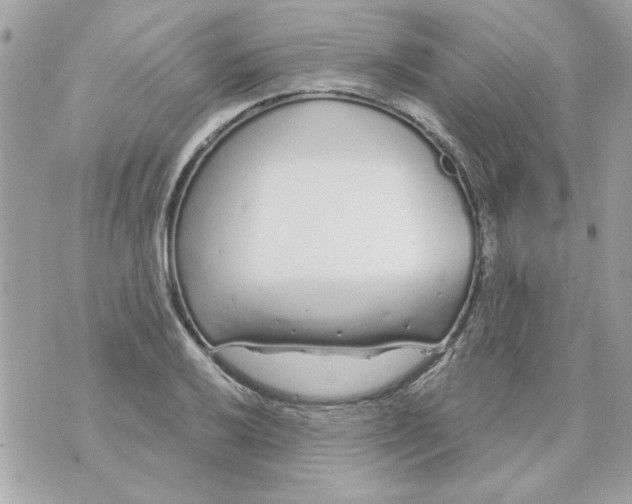 X0000070881032200607071942