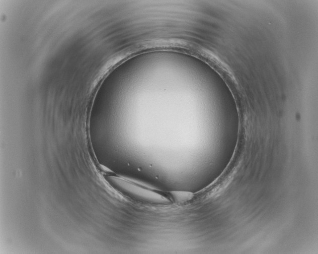 X0000070881033200607071943