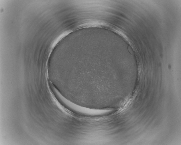 X0000070881034200607071943