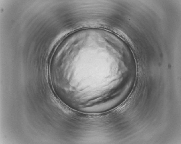 X0000070881035200607071943