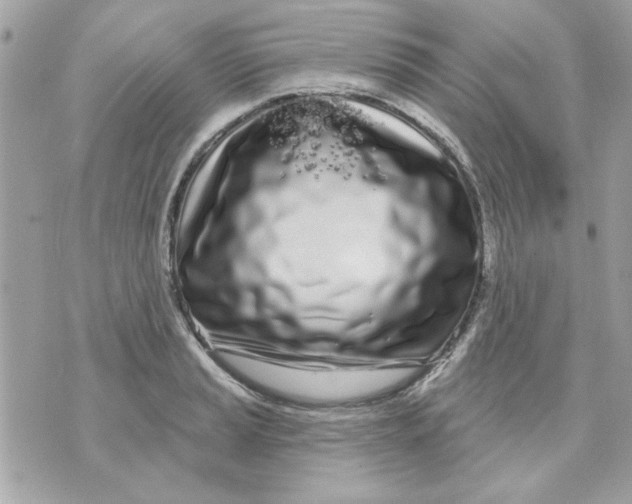 X0000070881037200607071943