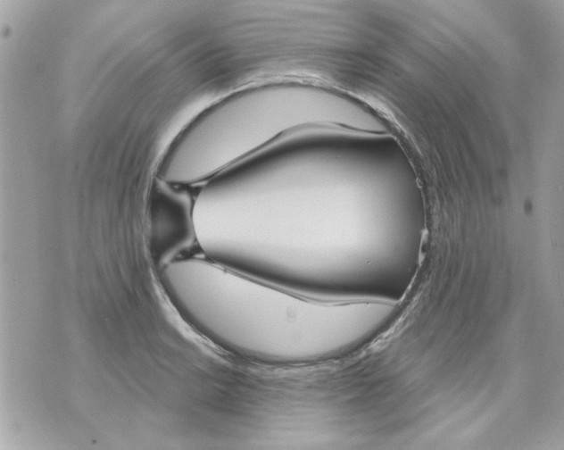 X0000070881038200607071943