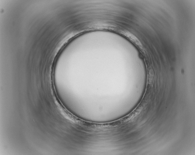 X0000070881039200607071943