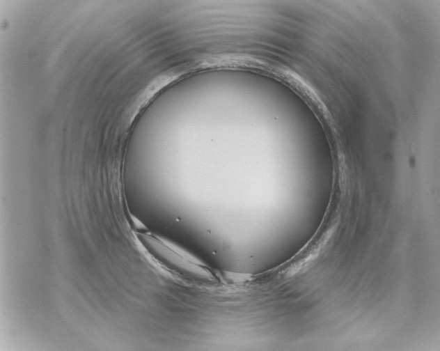 X0000070881041200607071943