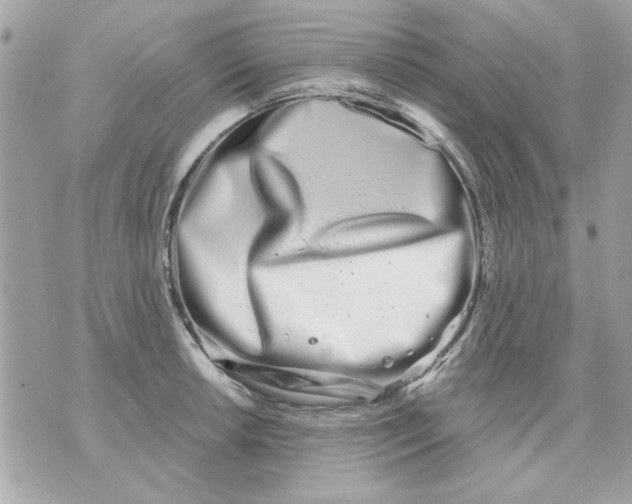 X0000070881042200607071943