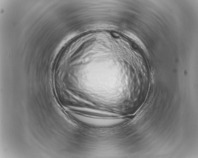 X0000070881043200607071943