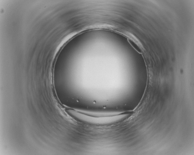 X0000070881044200607071943