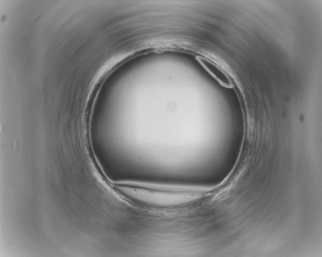 X0000070881045200607071943