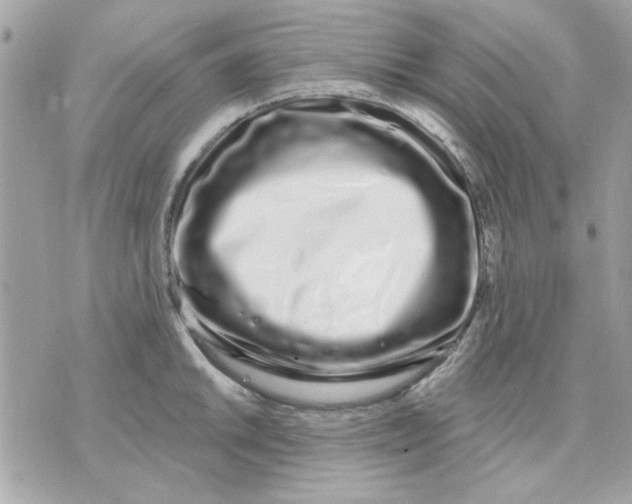 X0000070881046200607071943