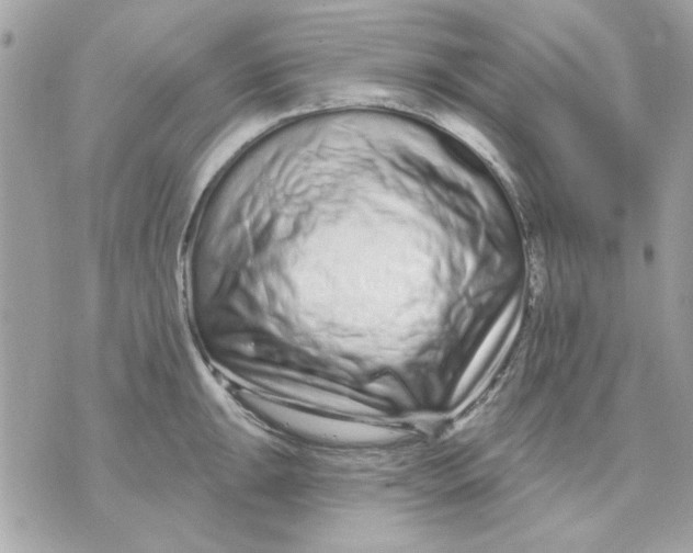 X0000070881047200607071943