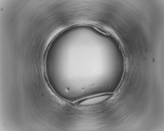 X0000070881048200607071943