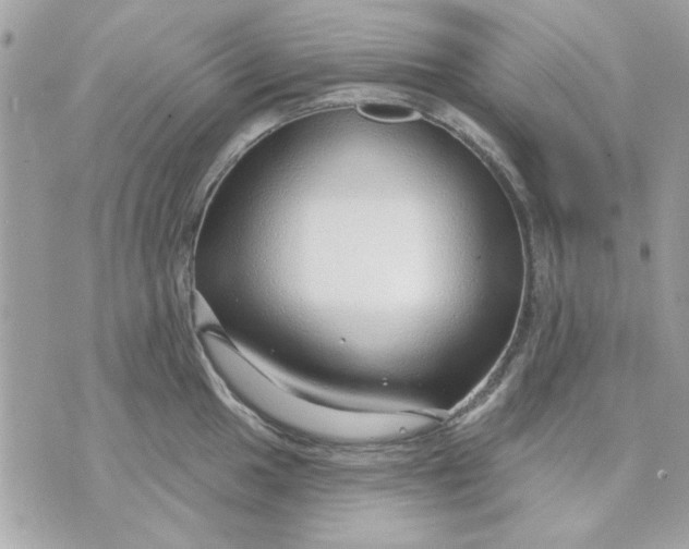 X0000070881049200607071943