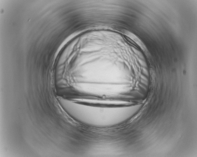 X0000070881052200607071943