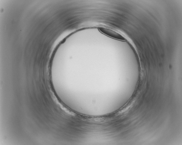 X0000070881053200607071943