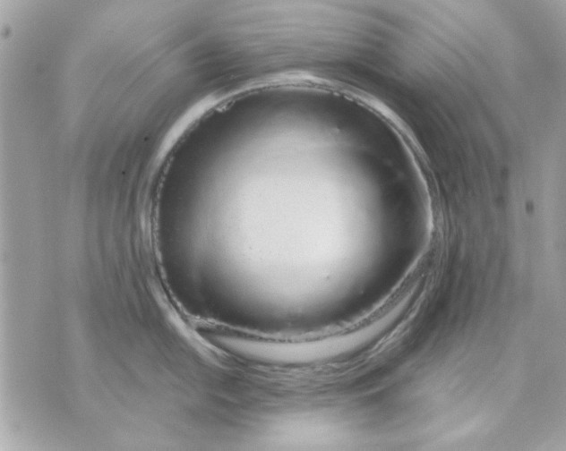 X0000070881054200607071943