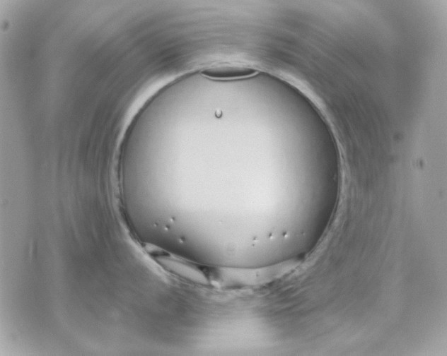 X0000070881056200607071943