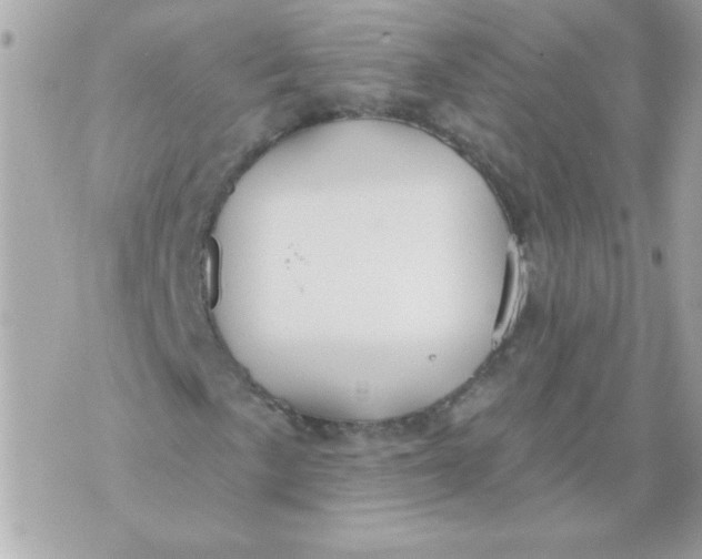 X0000070881057200607071942