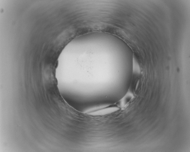 X0000070881058200607071942