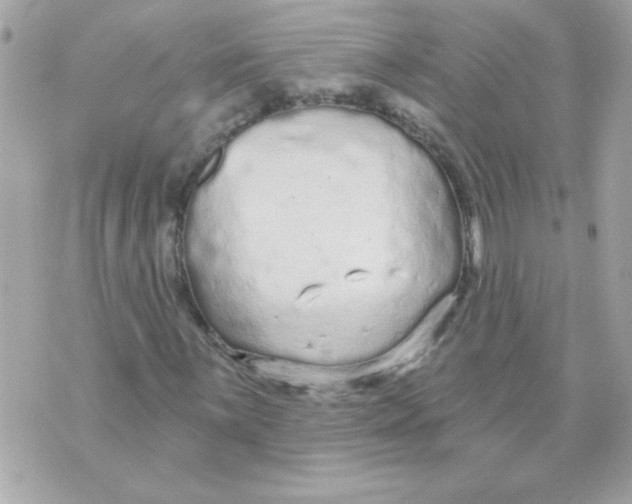 X0000070881059200607071942