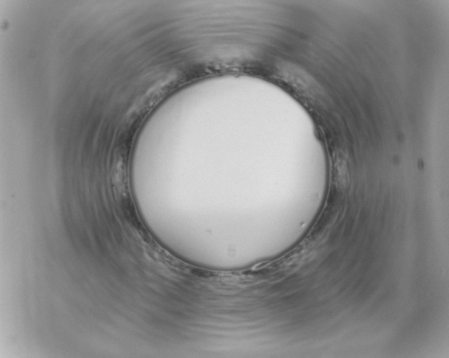 X0000070881060200607071942