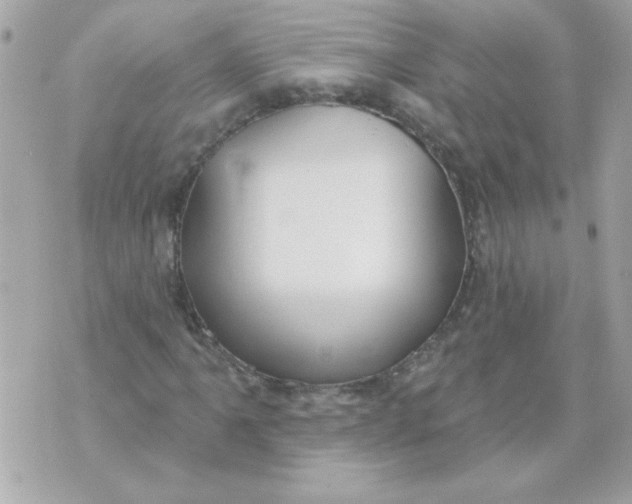 X0000070881061200607071942