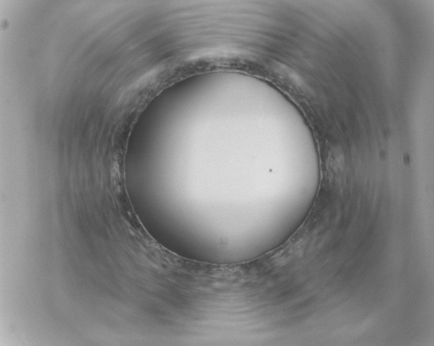 X0000070881062200607071942