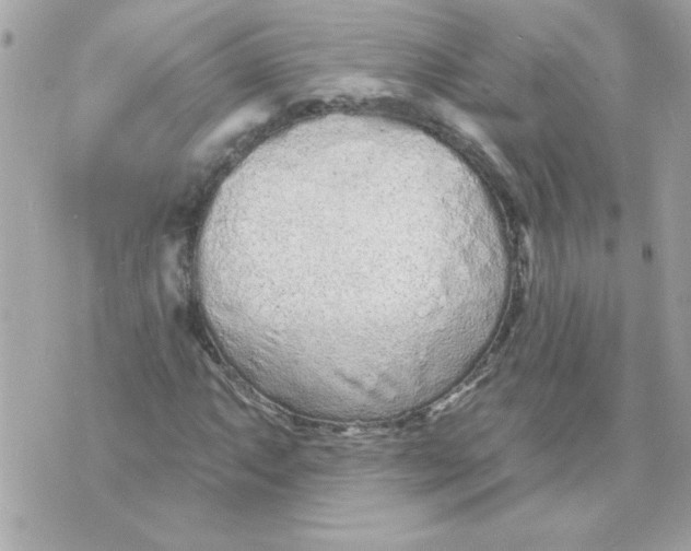 X0000070881063200607071942