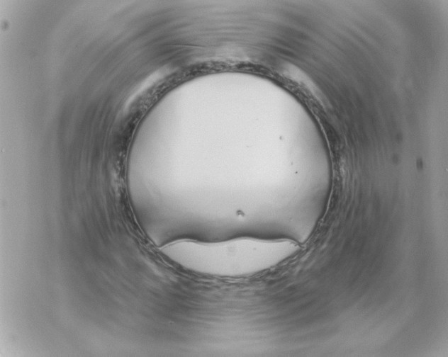 X0000070881064200607071942