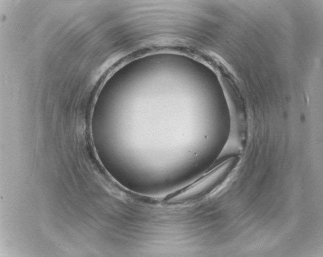 X0000070881065200607071942