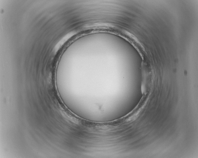 X0000070881066200607071942