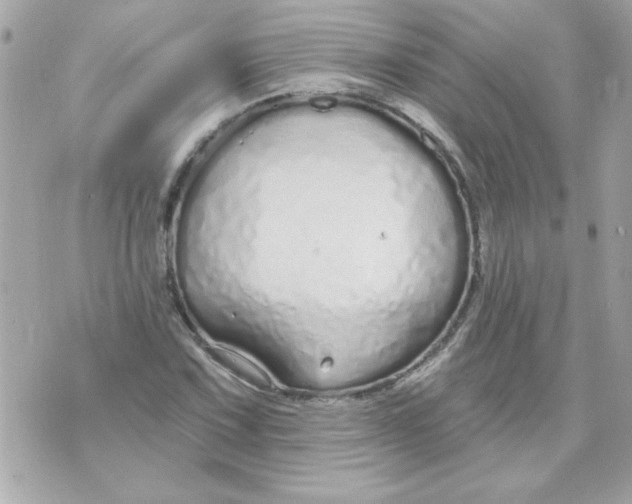 X0000070881067200607071942