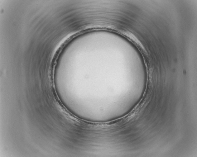 X0000070881068200607071942