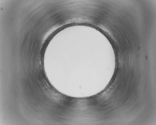 X0000070881070200607071942