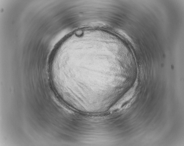 X0000070881071200607071942