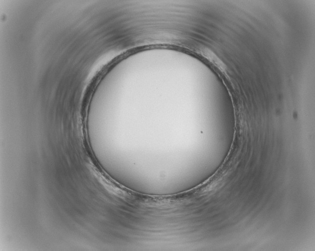 X0000070881072200607071942