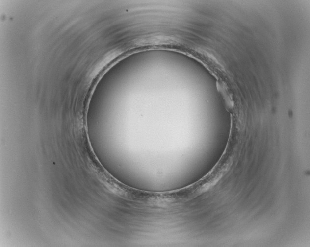 X0000070881073200607071942