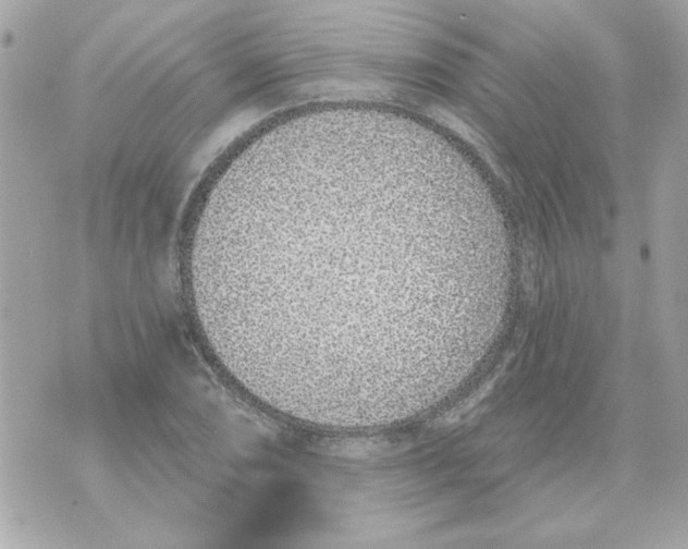 X0000070881074200607071942