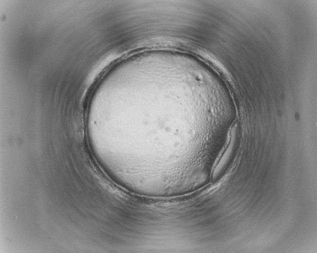 X0000070881075200607071942