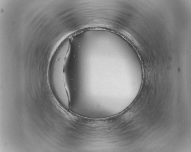 X0000070881076200607071942