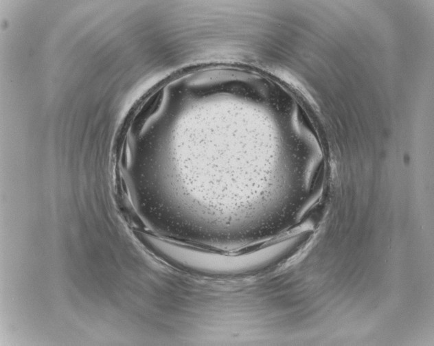 X0000070881077200607071942