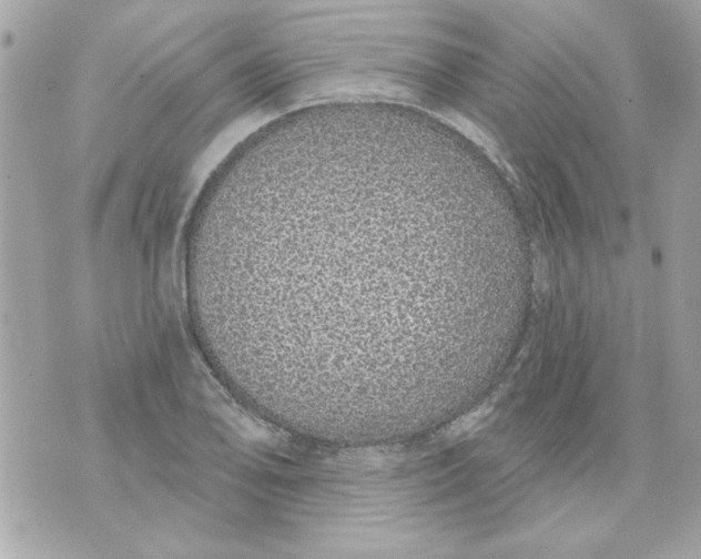 X0000070881078200607071942