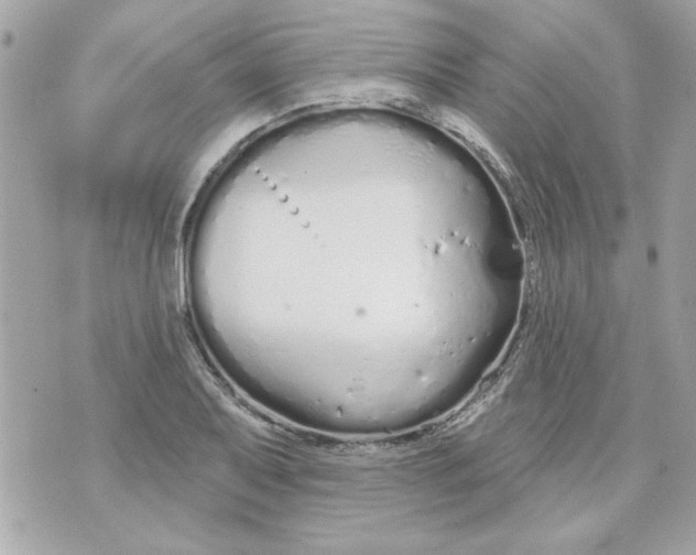 X0000070881079200607071942