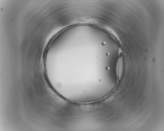 X0000070881080200607071942