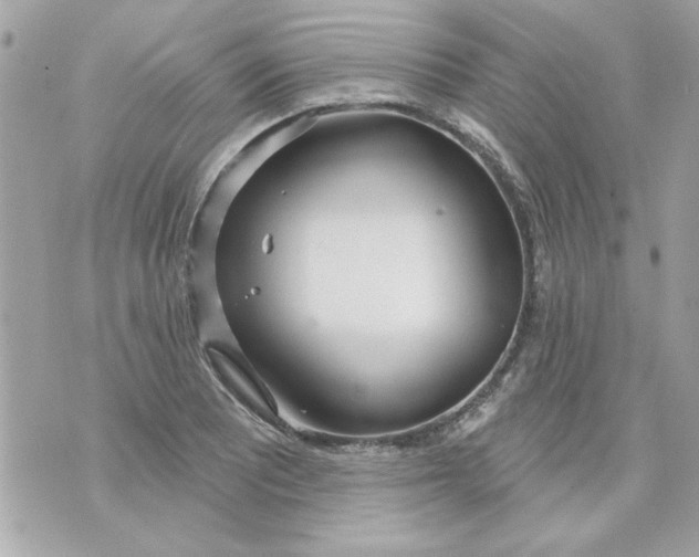 X0000070881081200607071942