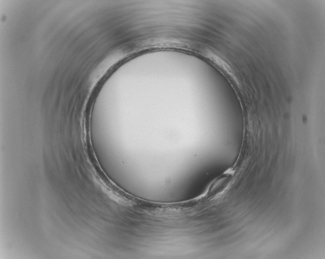 X0000070881082200607071942