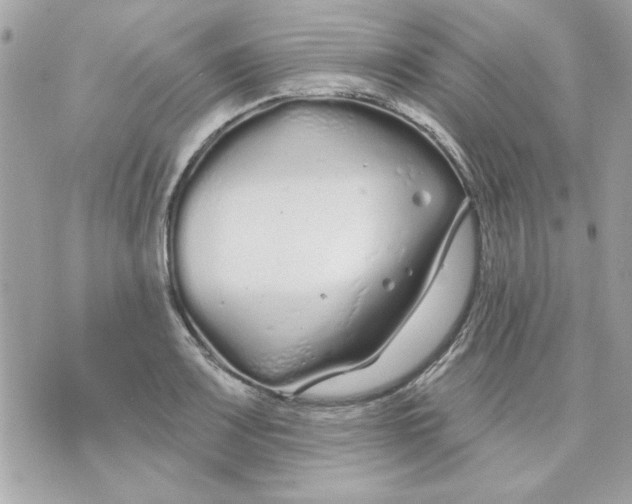 X0000070881083200607071942