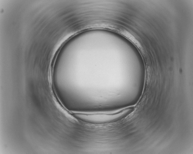 X0000070881084200607071942